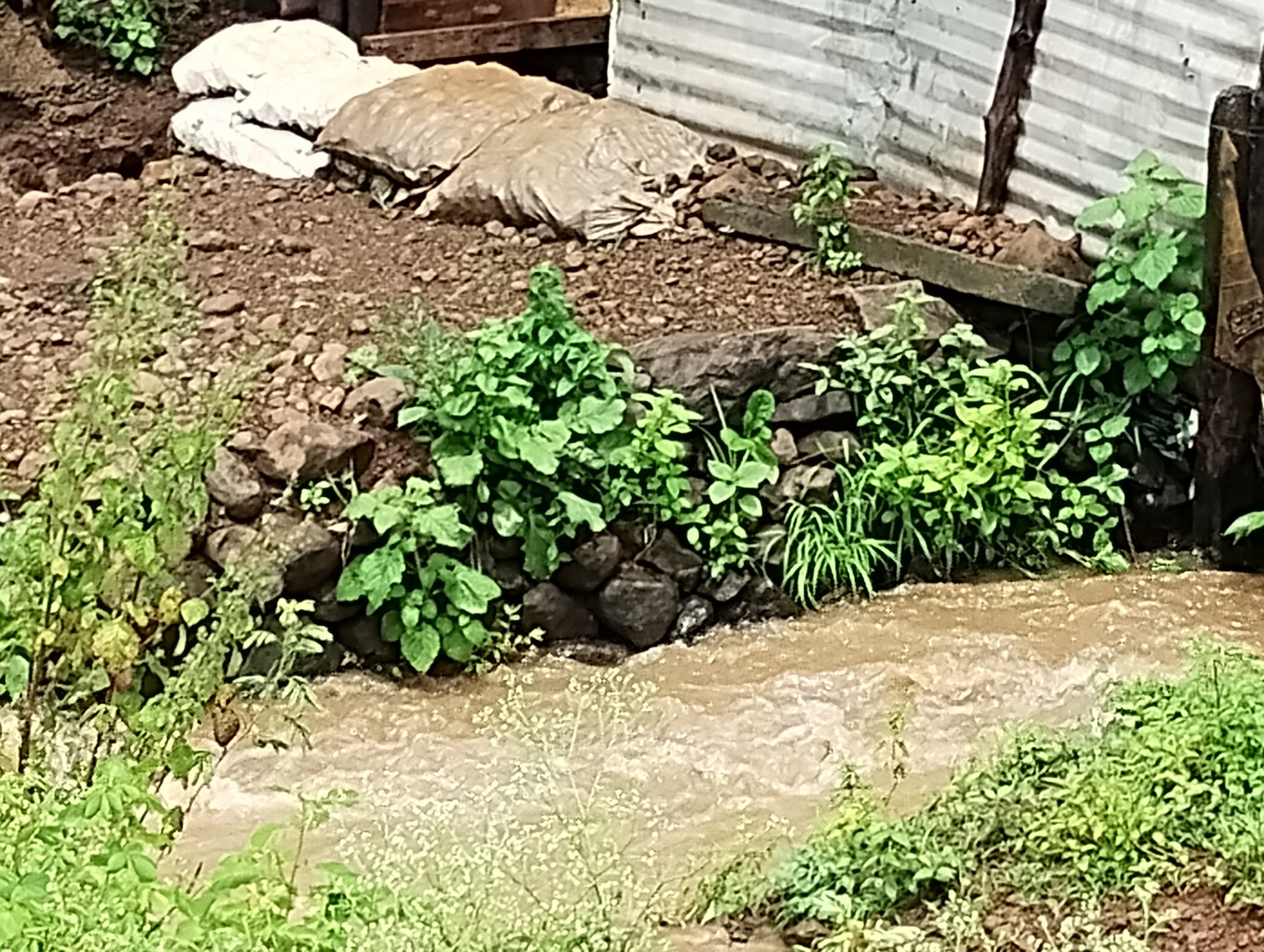 Read more about the article वडगाव प्रभाग क्रमांक सहा मध्ये  पावसाचे पाणी  नागरिकांच्या घरात