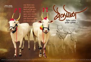Read more about the article बळीराजा आज व्यक्त करणार बैलांप्रति कृतज्ञता ,ग्रामीण भागात परंपरा कायम;विज्ञान आणि तंत्रज्ञानाच्या जगात आज साजरा होणार पोळा