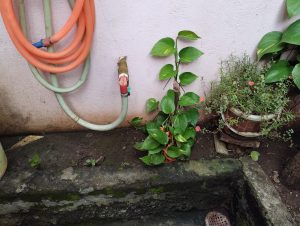 Read more about the article पिंपरी मेघे वर्धा येथे पाण्याची टंचाई ,ग्रामपंचायतीचे दुर्लक्ष