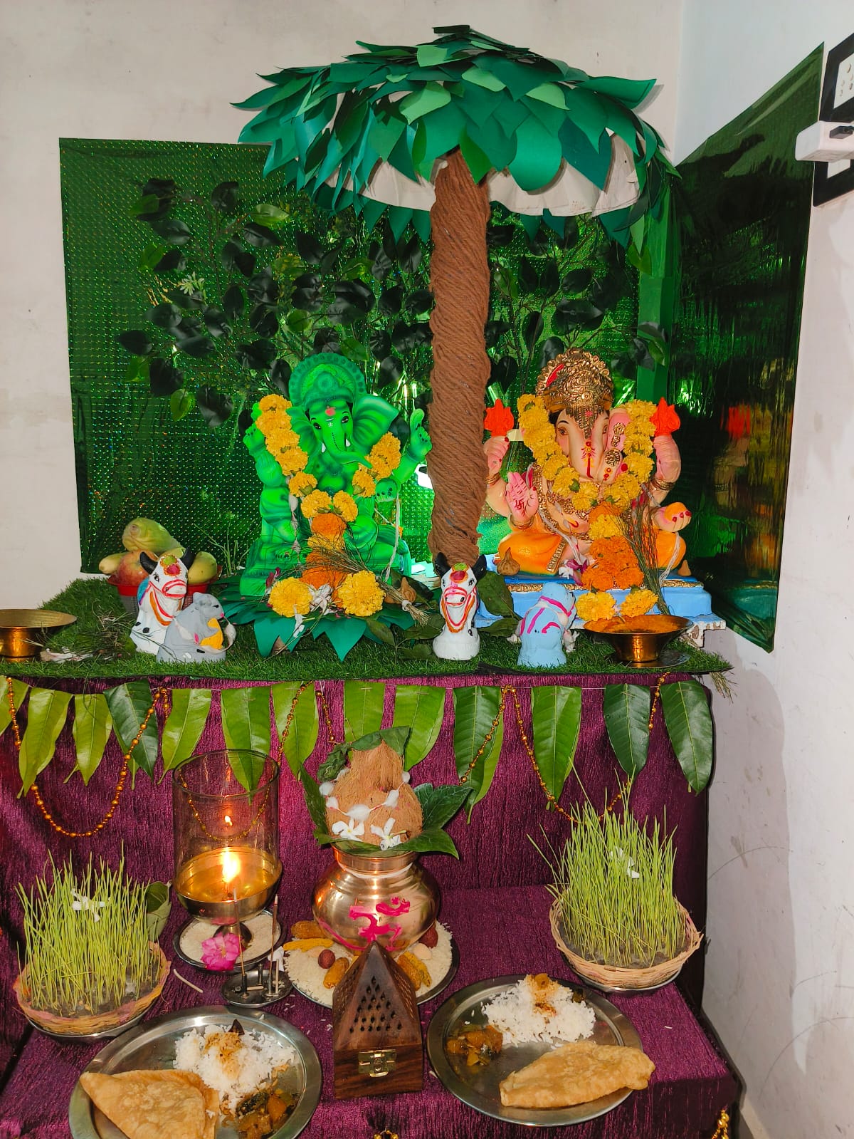 Read more about the article रिधोरा सर्वोदय विद्यालयाचे हरितसेना प्रभारी लोडे व त्यांच्या सुनबाई सौ गायत्री यांनी साकारला पर्यावरण पूरक गणपती