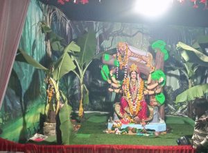 Read more about the article ढाणकी: दुर्गा विसर्जन शांततेत संपन्न, ठाणेदार संतोष मणवर यांची प्रशंसनीय कामगिरी