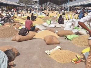 Read more about the article सोयाबीनची तीन हजार रुपयात विक्री ,शेतकऱ्यांची अतोनात लूट