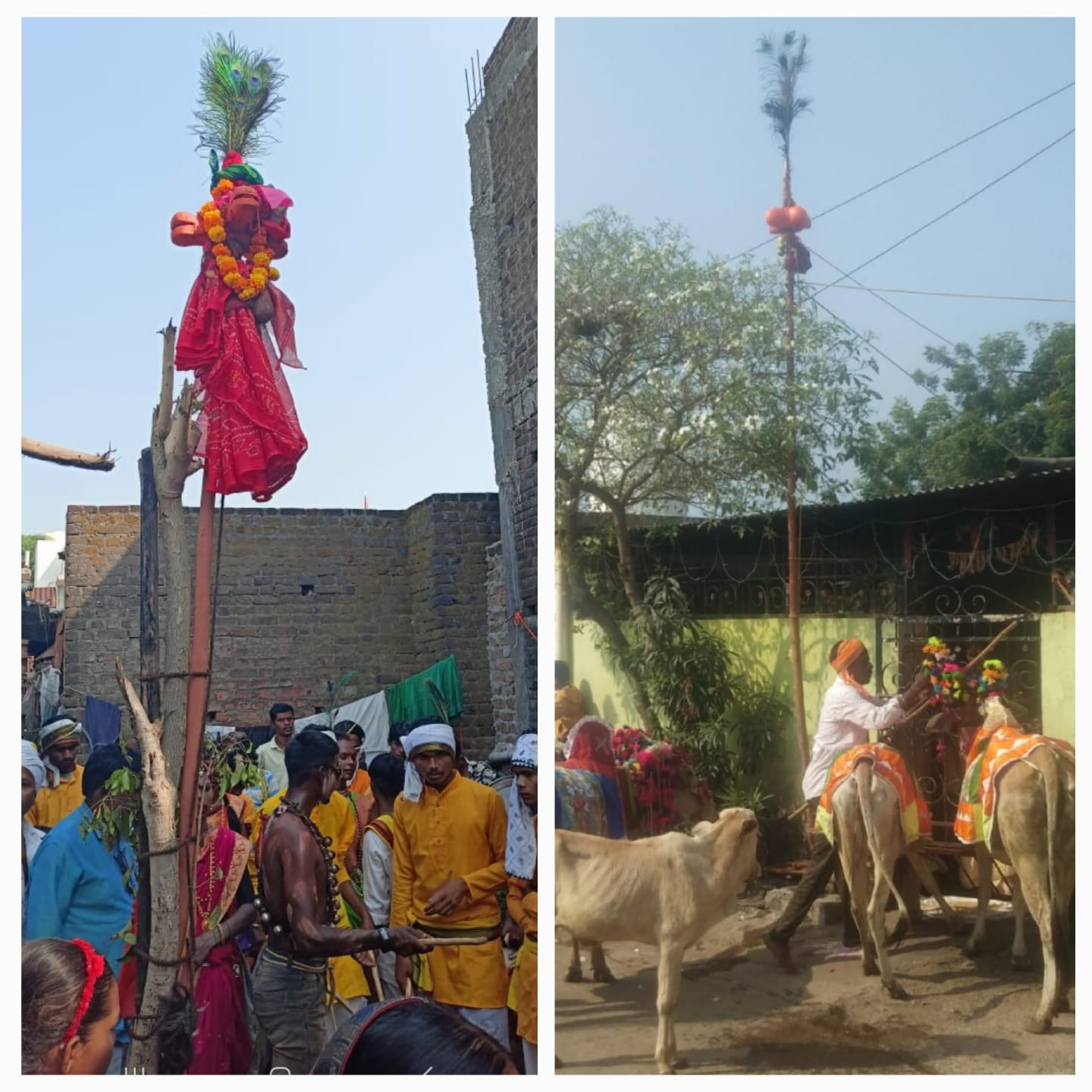 Read more about the article आदिवासी गोंड गोवारी जमातीचा सार्वजनिक ढाल उत्सव यवतमाळ जिल्ह्यात साजरा