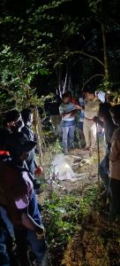 Read more about the article सिंगलदिप शिवारात वाघाने दोन बैलांचा केला खत्मा ,तर गाय आणि गोऱ्यांला केले जखमी