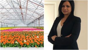 Read more about the article इकॉनॉमिक्स ऑफ द प्रोडक्शन अँड मार्केटिंग ऑफ सिलेक्टेड फ्लोरिकल्चर प्लांट्स अंडर दि हायटेक विस आ विस् ओपन कल्टिवेशन ग्रोविंग इन विदर्भ रीजन ह्या रिसर्च मुळे अनेक शेतकऱ्यांना फायदा