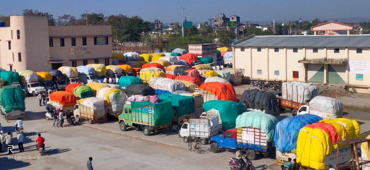 Read more about the article <em>चार दिवस सी सी आय ची कापूस खरेदी बंद</em>