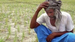 Read more about the article बंदी भागातील माहिती अभावी अनेक शेतकरी कृषी योजनांपासून वंचित<br>“आजार म्हशीला अन् विलाज पखालीला अशी गत”